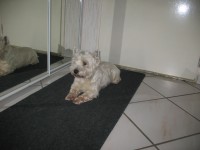 /album/photos/pour-site-2-jpg/